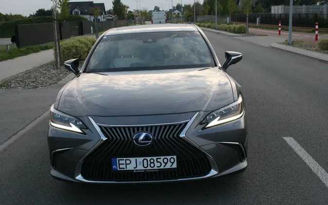 łódzkie Lexus ES cena 180000 przebieg: 28500, rok produkcji 2019 z Pajęczno